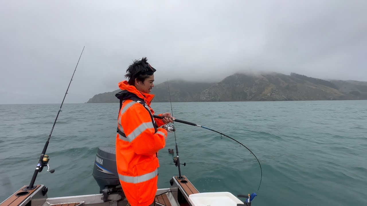 Tasman bay fishing, Catch and Cook