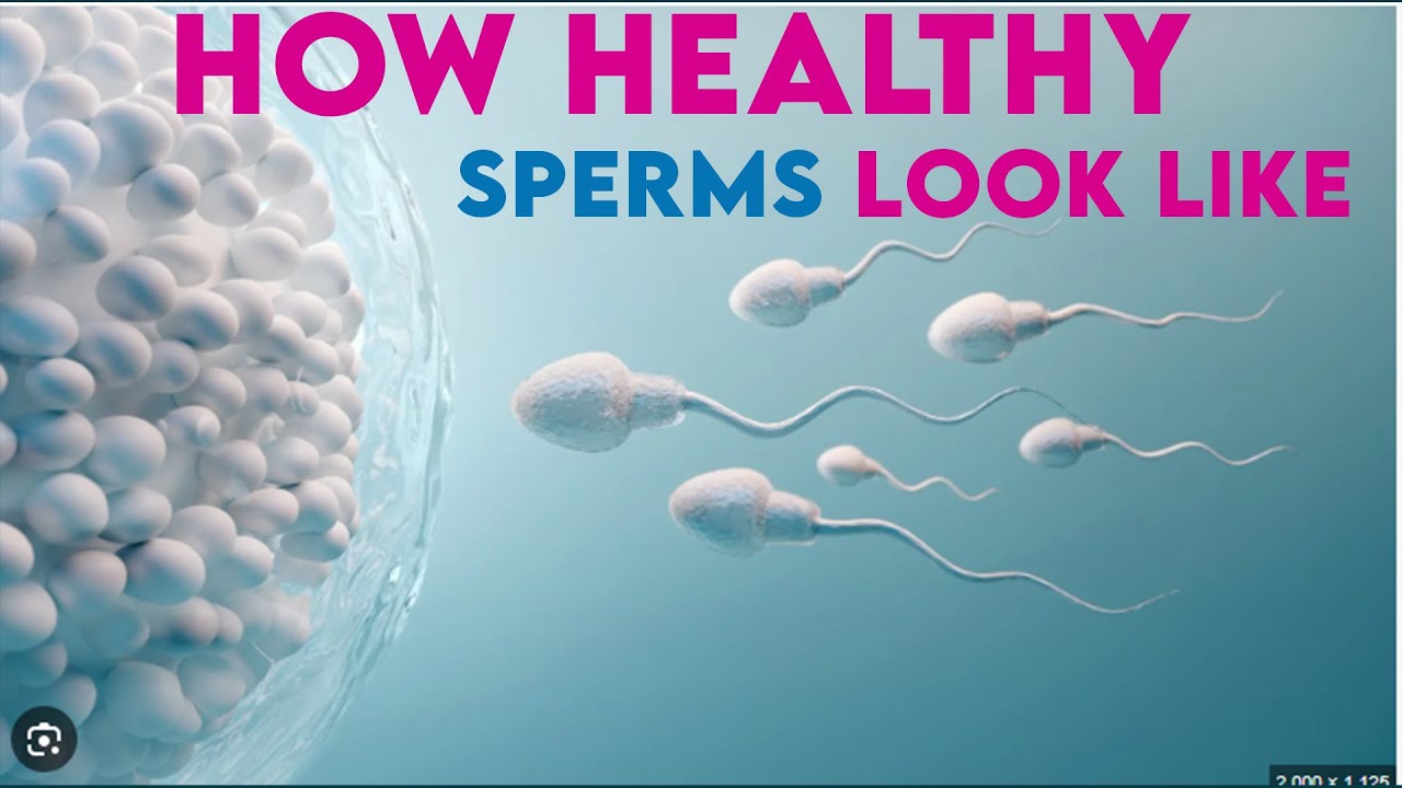 The Simple Science Behind Healthy Sperm Analysis!