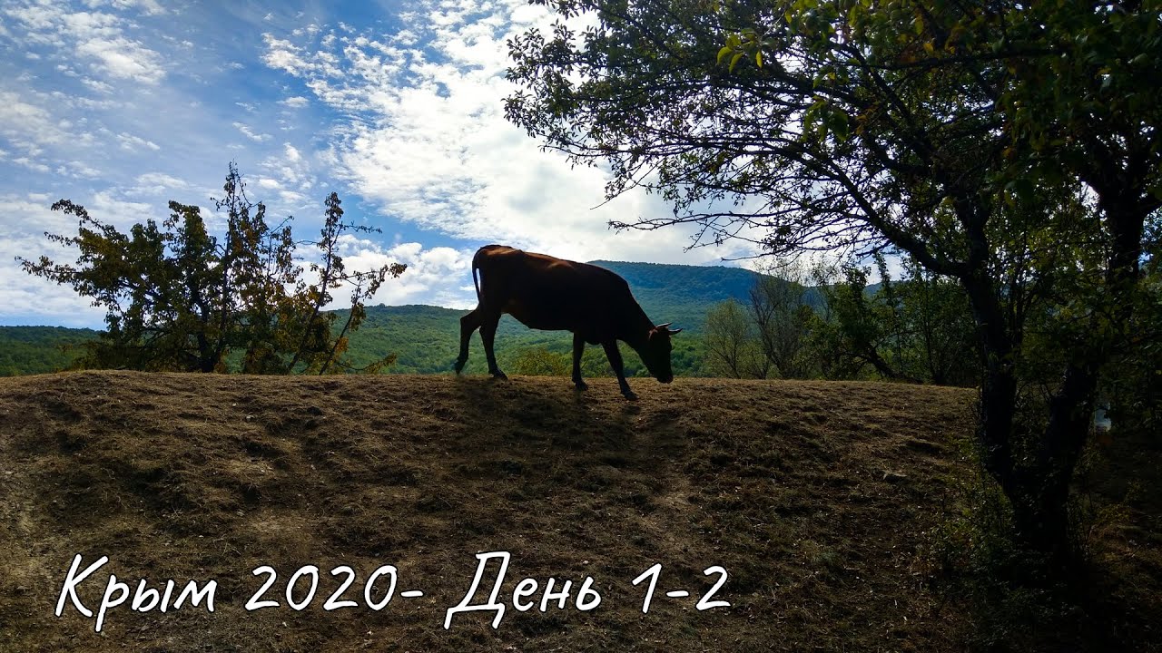 Путешествие по Крыму 2020 - День 1-2