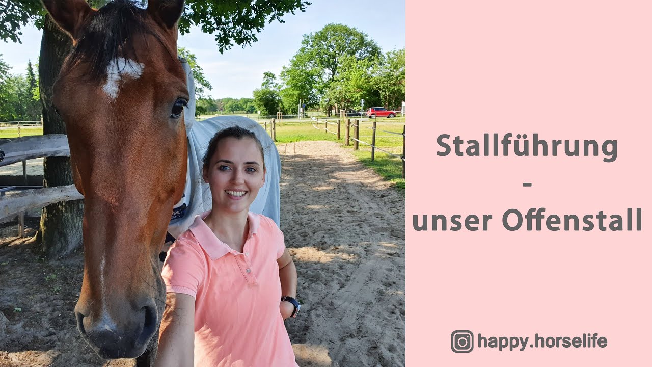 Stallf&uuml;hrung | der perfekte Offenstall | Besch&auml;ftigungsm&ouml;glichkeiten | Honky erkl&auml;rt den Pferdestall