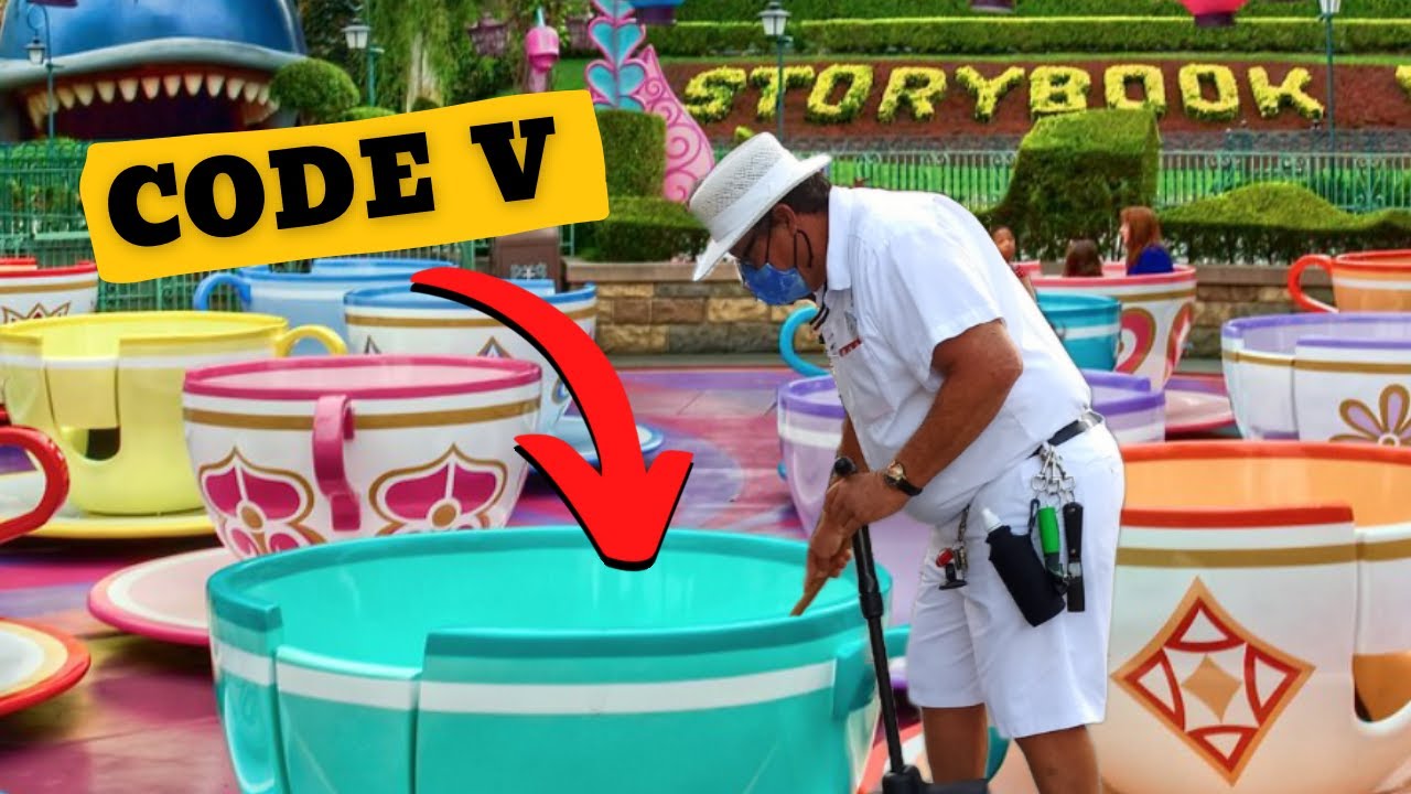 Disneyland's Secret Code Words #shorts