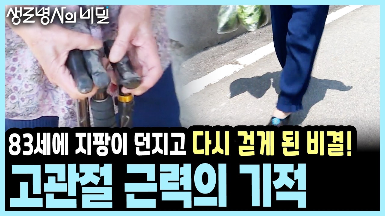 돈보다 중요한 '근육 연금', 지금 당장 고관절 근력을 키워야 하는 이유 I KBS 생로병사의 비밀 20190605 방송