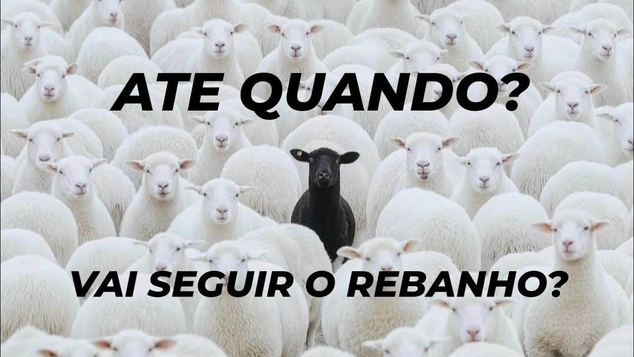 PARE DE CARREGAR ESTE PESO!!