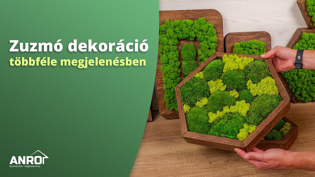 Zuzmós faliképek, moha képek és kaspós zuzmók - 17 új zuzmós dekor a fal vagy polc díszítéséhez!