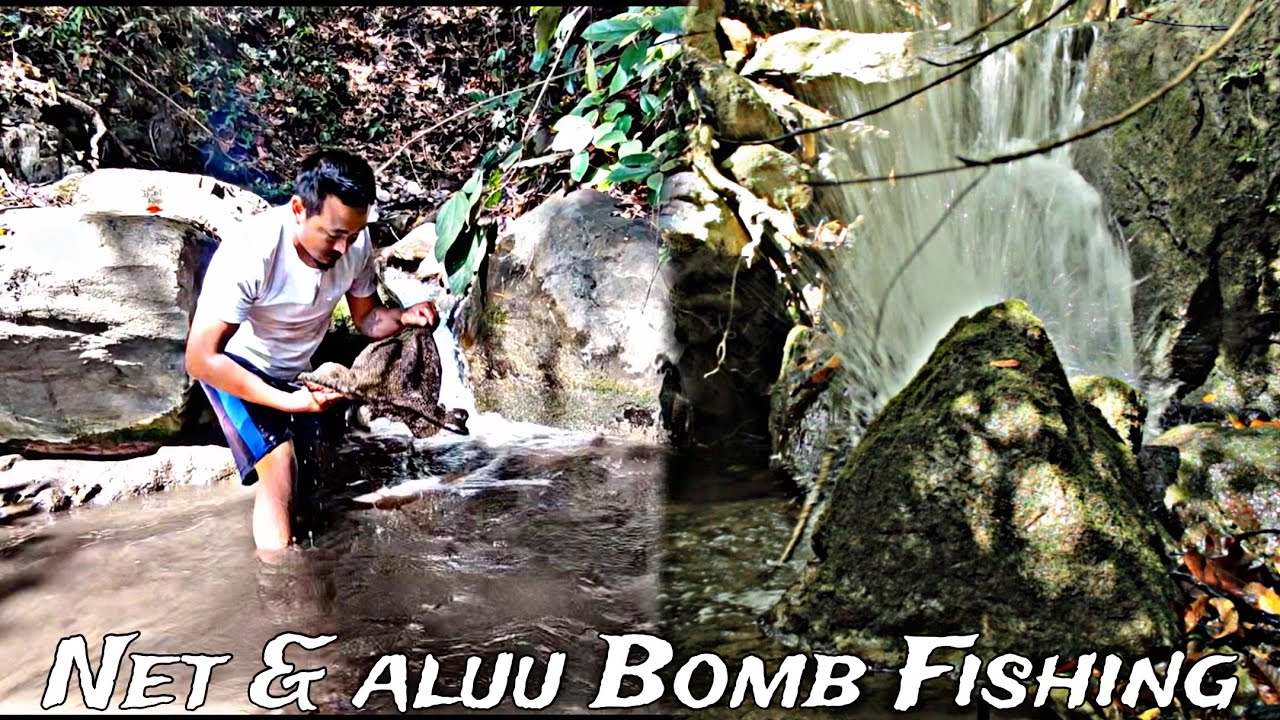 Net fishing & Aluu Bomb Fishing in stream at my cave bamboo camp side 😊 ATI NAGA VLOG