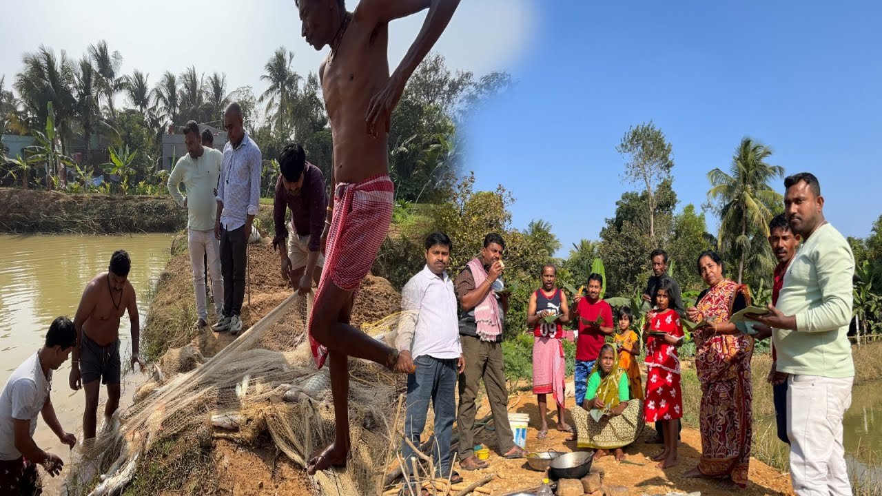 পুকুর থেকে জ্যান্ত মাছ ধরে পুকুর পারে ভেজে খাওয়া দাওয়া ॥