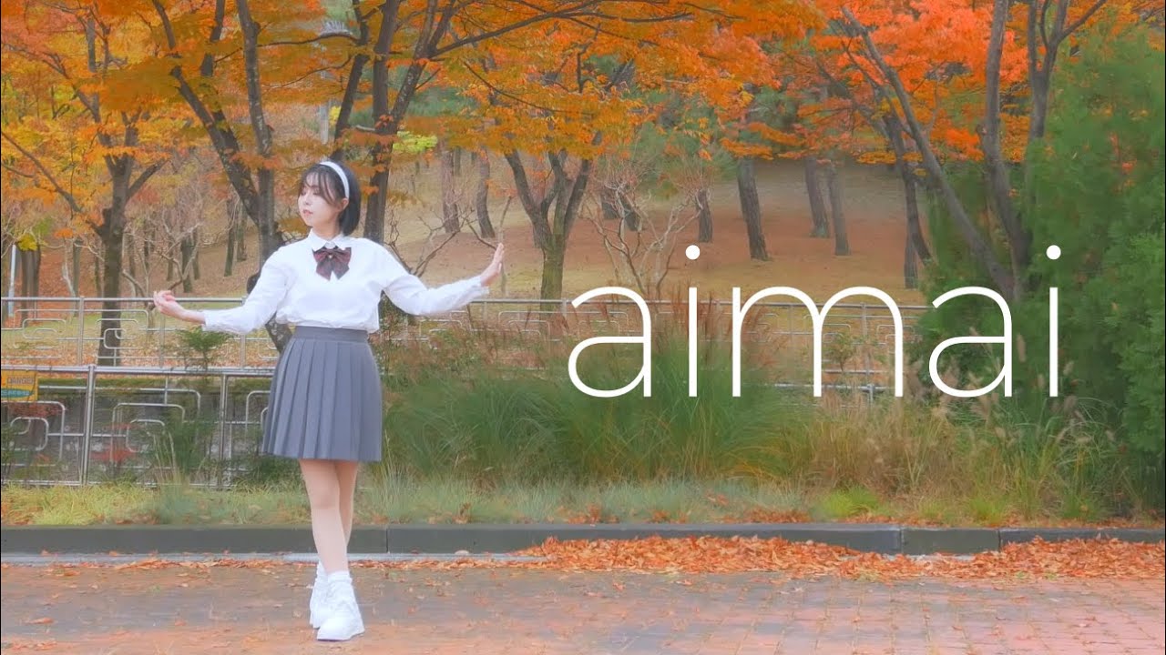 【하지】 애매 aimai 춤춰보았다