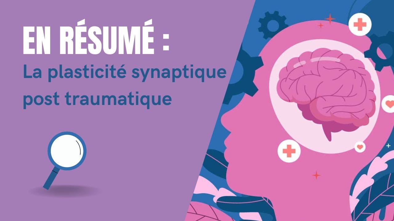 La plasticit&eacute; synaptique post traumatique - INMED