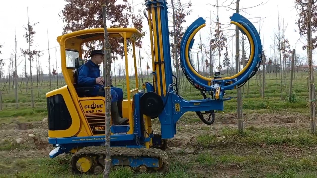 Binding trees with the MDE Globe KRB100