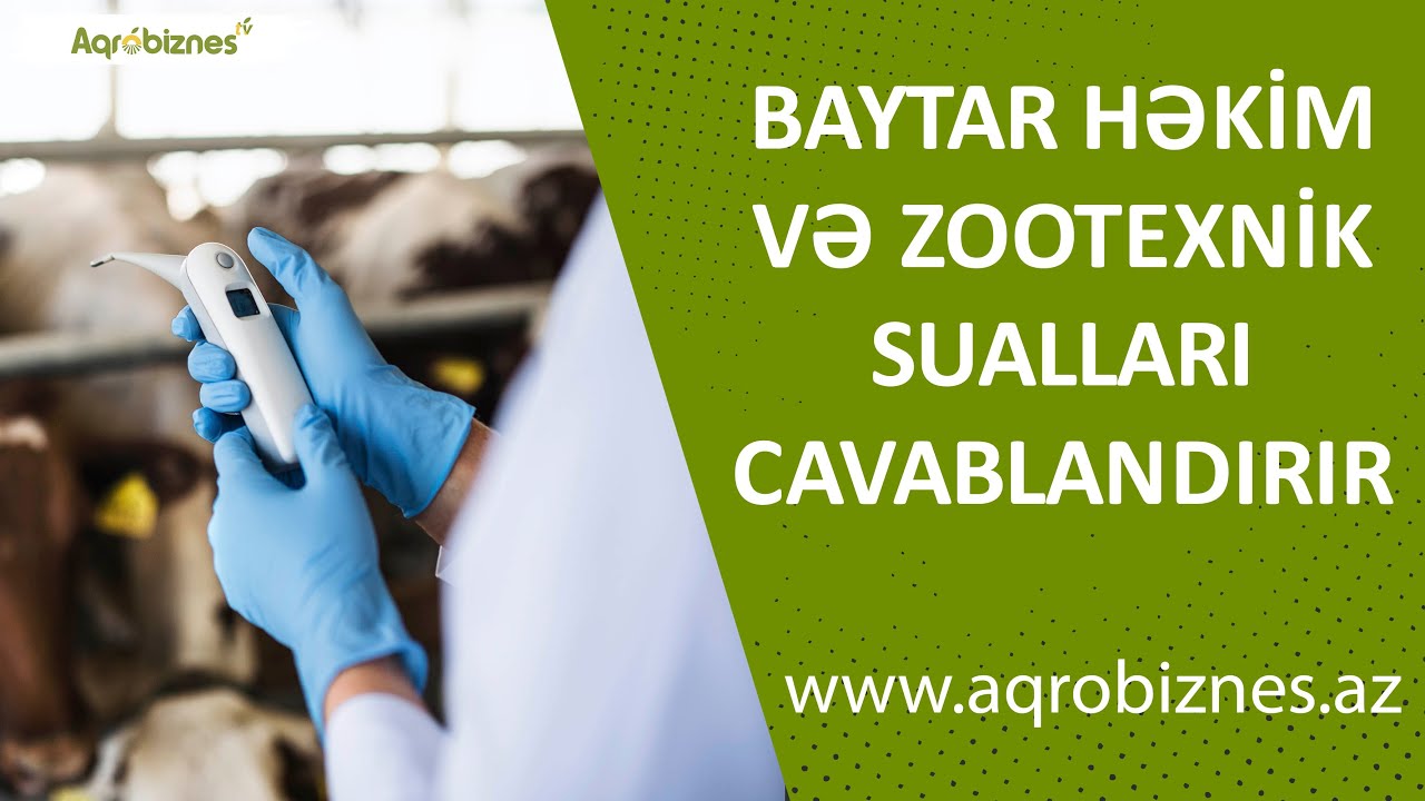 Baytar həkim və zootexnik sualları cavablandırır