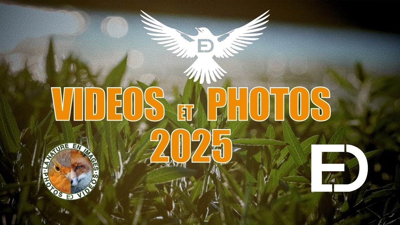 Les oiseaux en images, 2025