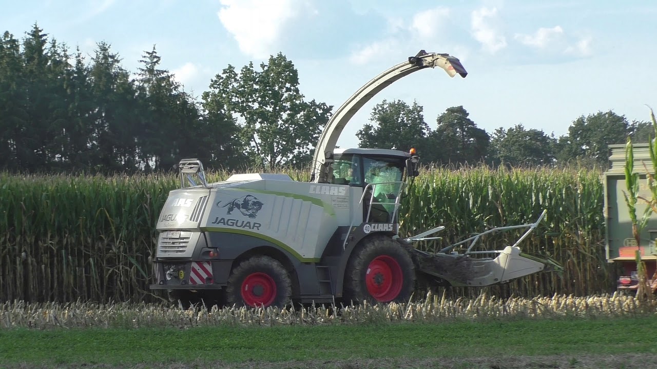 Maishäckseln 2019 mit Claas Jaguar 970 MAN V8 Orbis 750