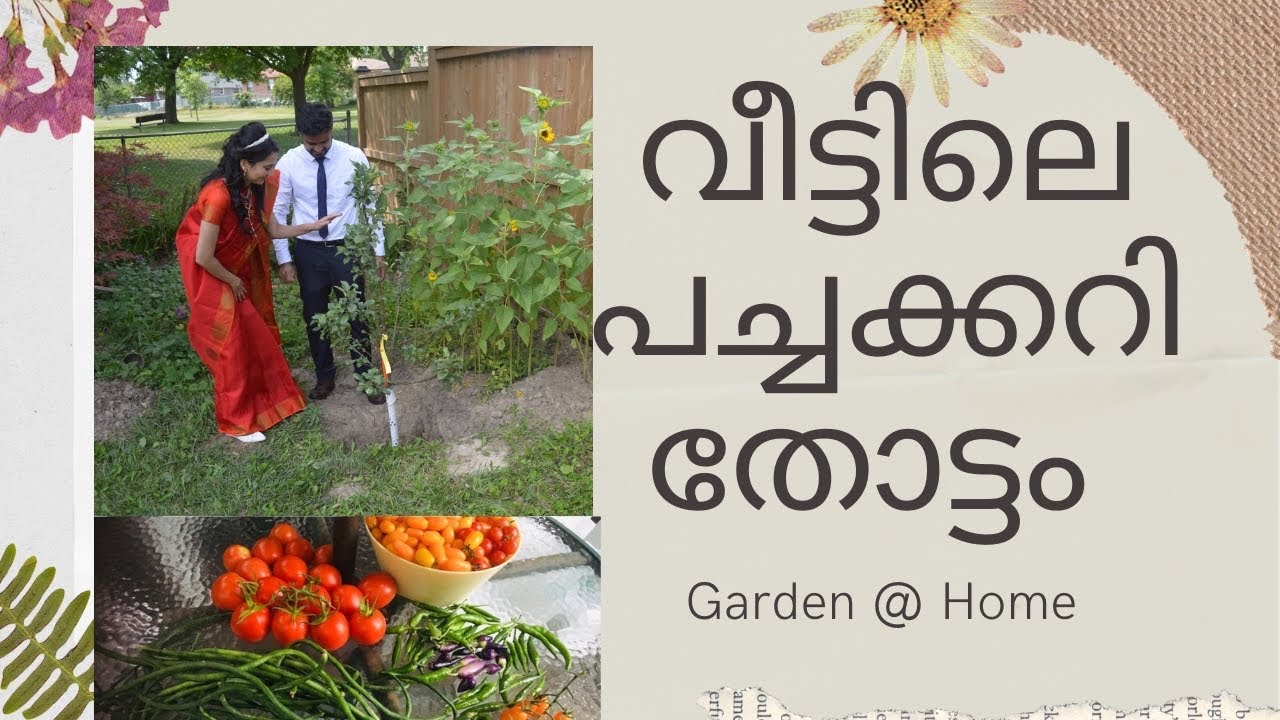 കാനഡയിലെ കൃഷി വിശേഷം।Vegetable Garden @ Home | Malayalam |