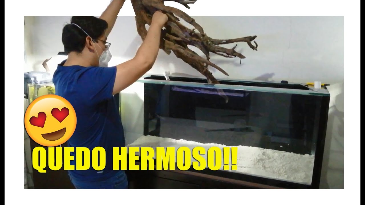 Así Quedo El Acuario Amazónico De Los Altums | @Aqua Wai