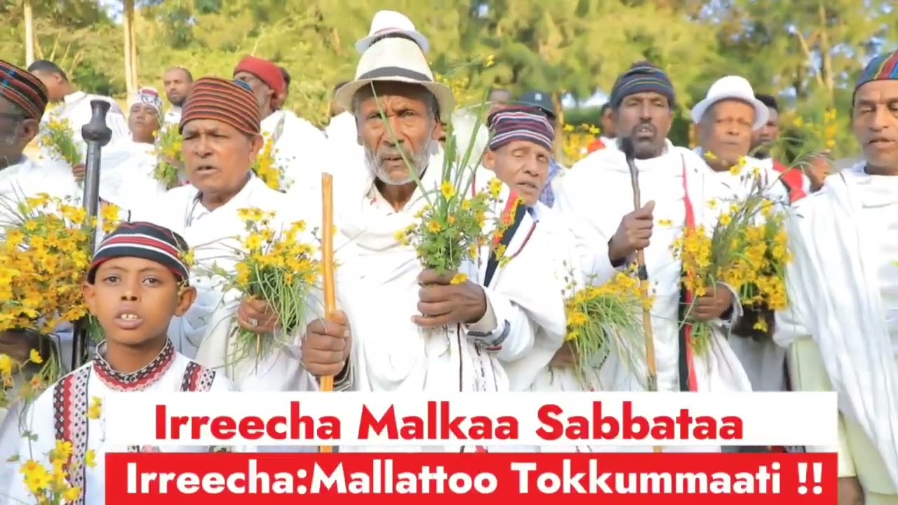 #Shaggar  Kabaja Ayyaana Irreechaa 
