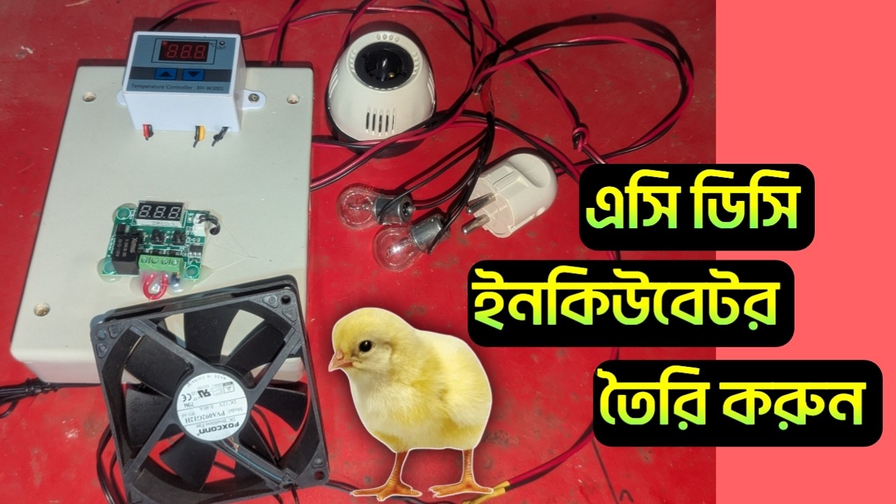 অল্প খরচে এসি ডিসি ডিম ইনকিউবেটর তৈরি | ঘরে বসে মুরগির বাচ্চা ফোটান সহজে 🐣