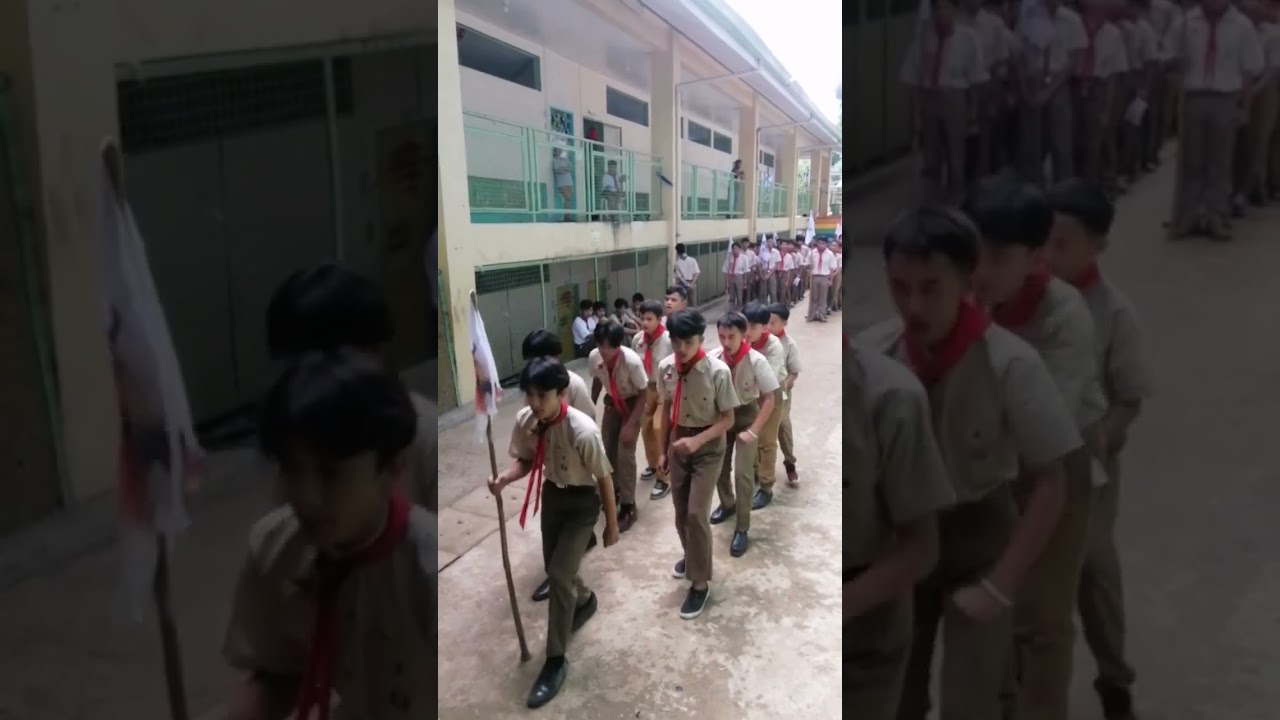 BSP Yell (Piggy Crew)