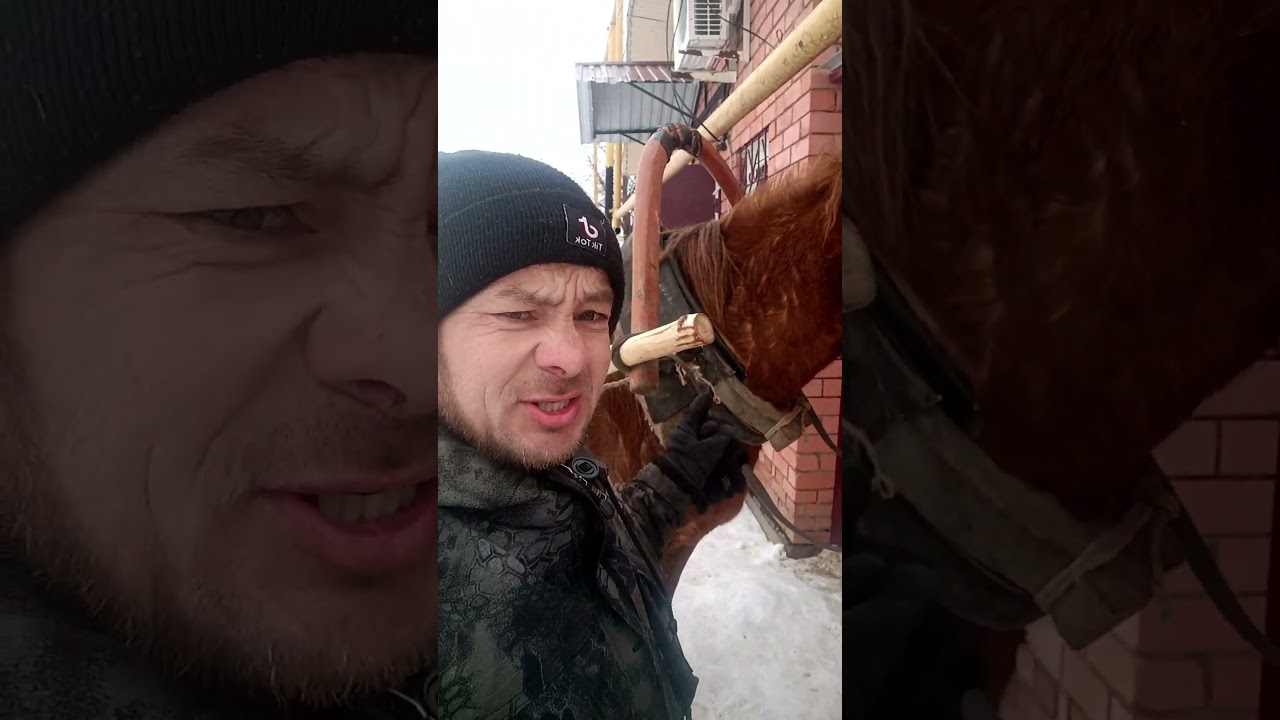 Лошадь пашет сутками
