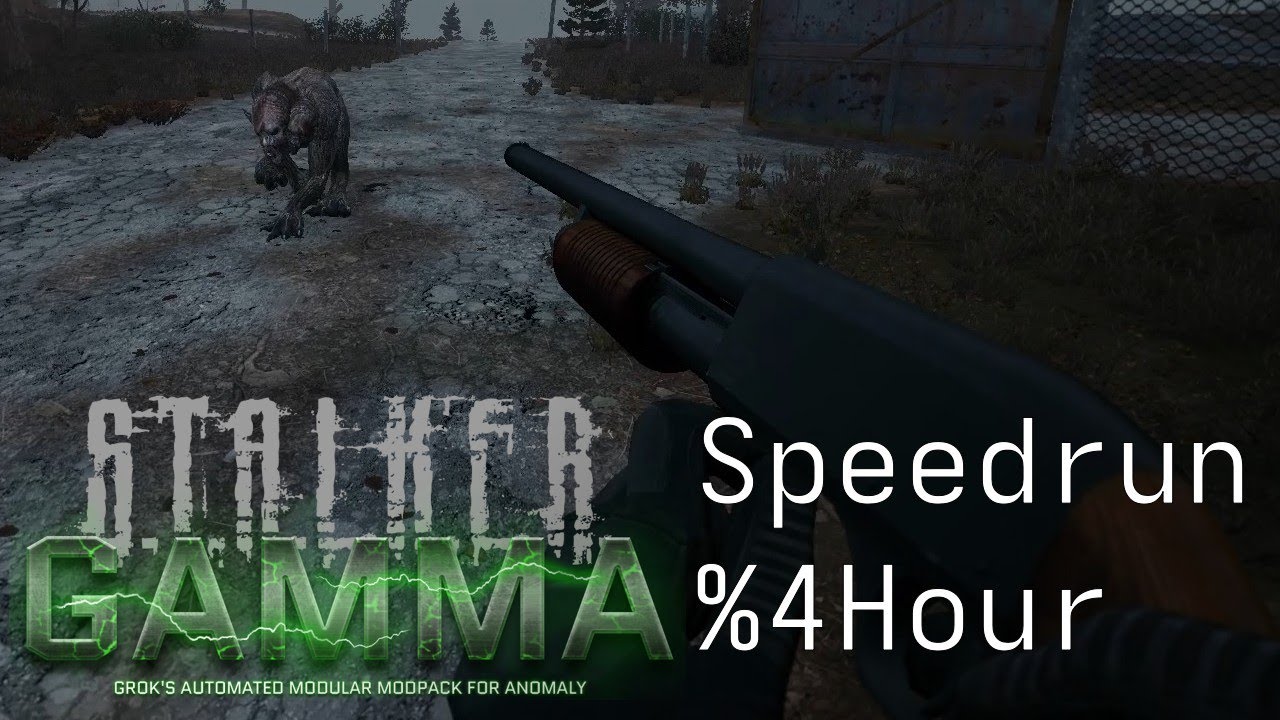 S.T.A.L.K.E.R GAMMA Speedrun %4Hour
