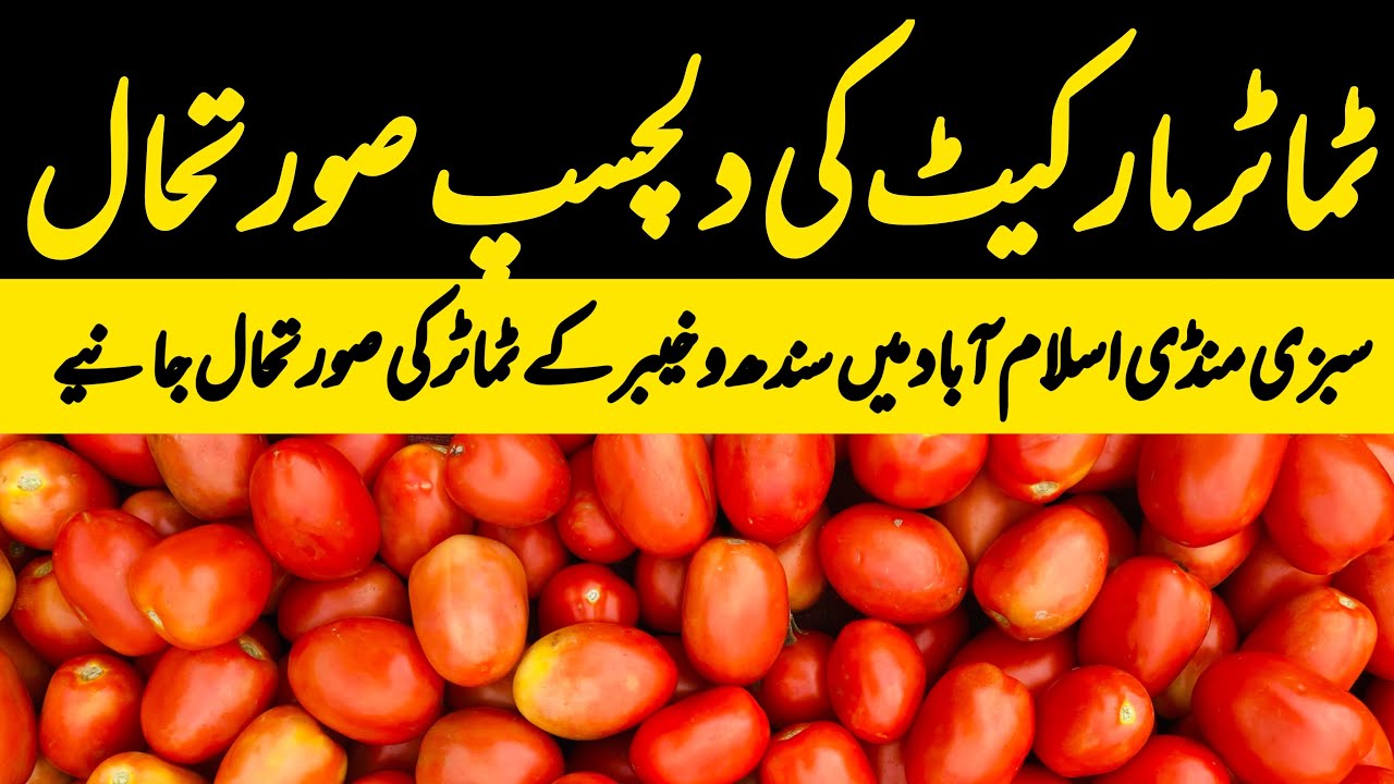 Tomatoes Update | Tom Prices | Sindh Tomatoes | 11 February 2026 | Sabzi Mandi Islamabad 