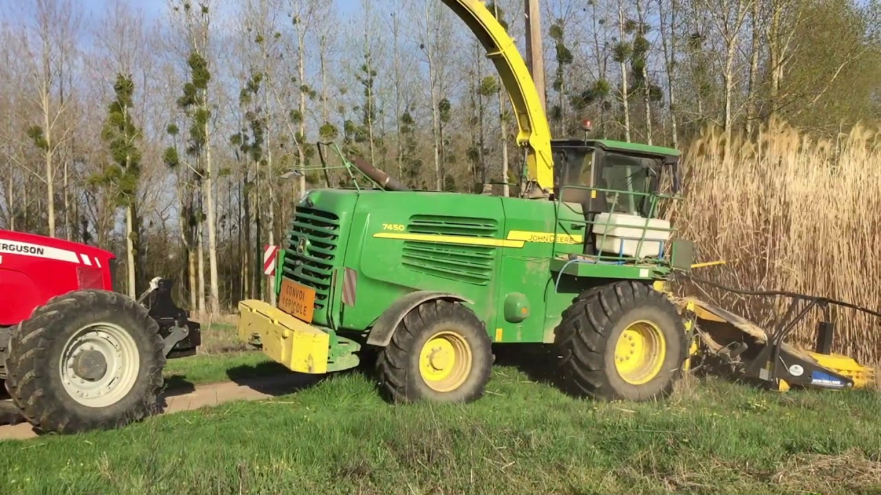 Ensilage de miscanthus XXL / John Deere 7450 / John Deere 7710 / bennes Fliegl / Massey Fergusson