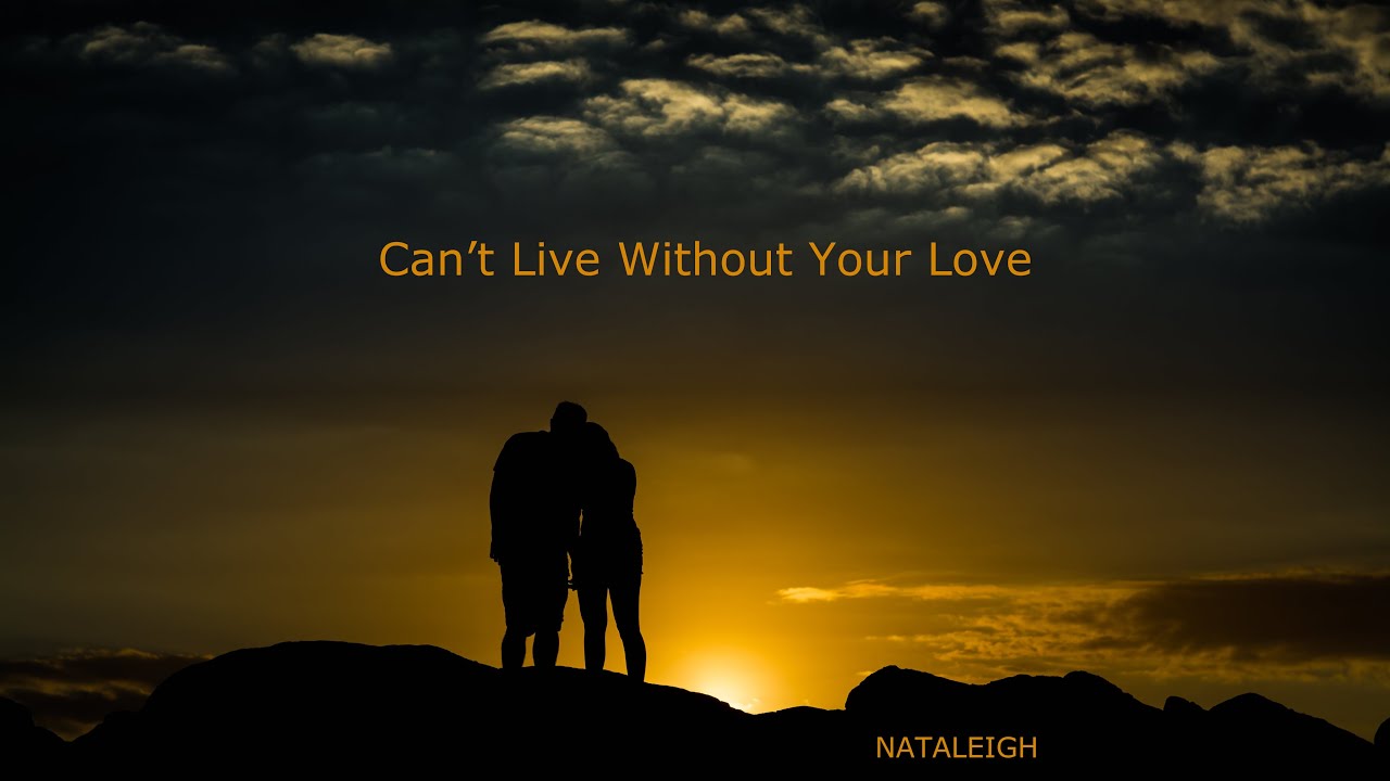 Can't Live Without Your Love