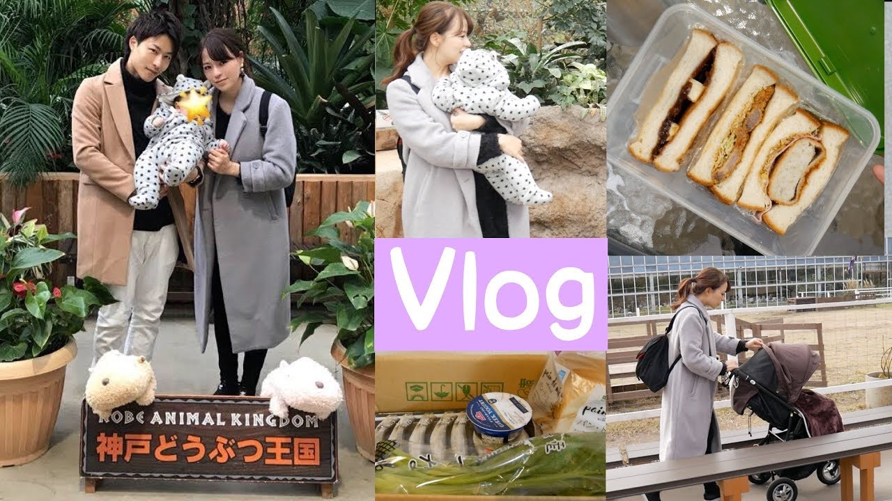 【とある１日Vlog #25】サンドイッチ作り▶︎息子と初動物園▶︎スーパー購入品 🍞