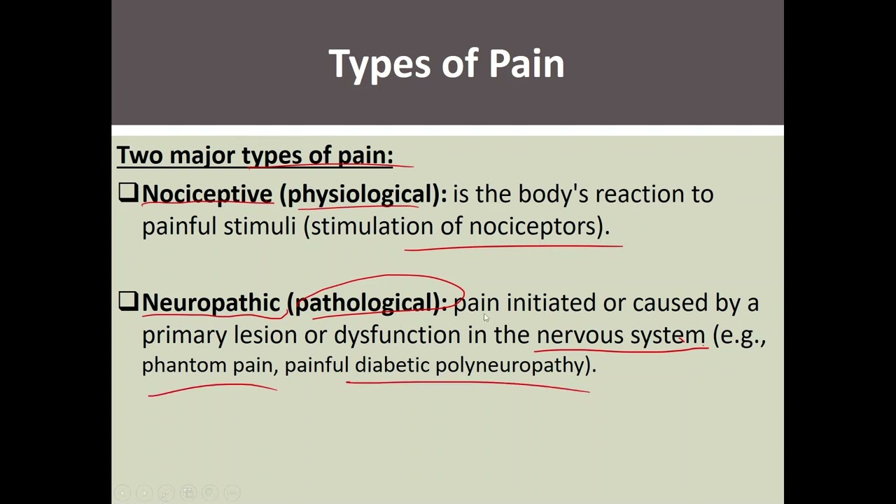 Lecture 1: Introduction to Pain Management