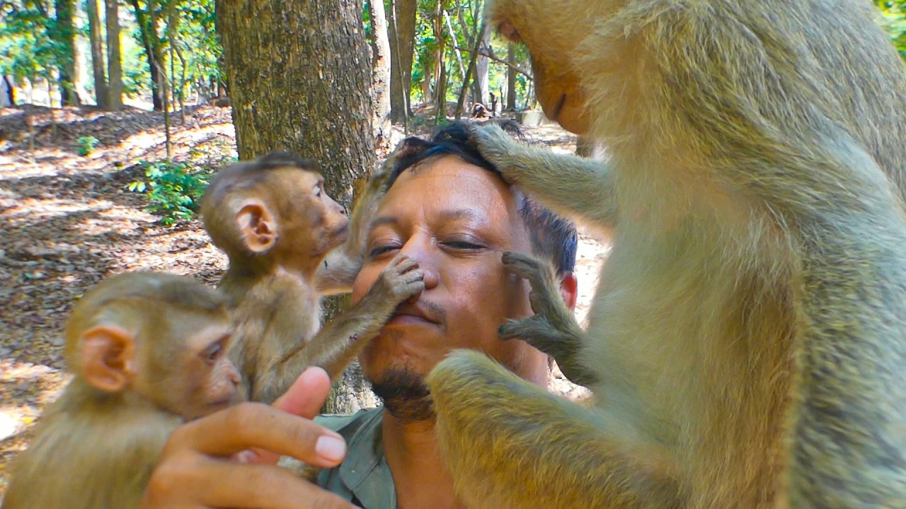 Hilarious time with monkeys Rainbow, Lily, Jacee & Kendra | Leo is playful with sisters.