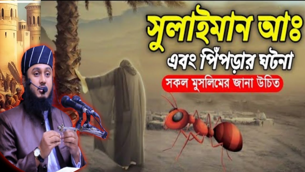 হযরত সুলাইমান এবং পিঁপড়ার ঘটনা, মুফতী বরকতুল্লাহ আনসারী Mufti Borkotullah Ansari - 01734912992
