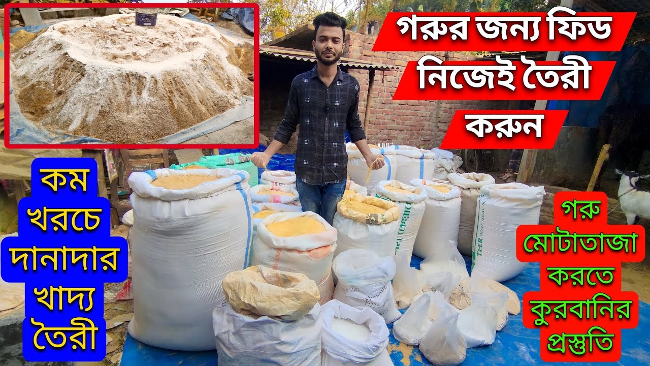 কুরবানি উপলক্ষে গরু মোটাতাজা করতে খাদ্য তৈরী। ভিডিওটা শেয়ার করে রেখে দিন।