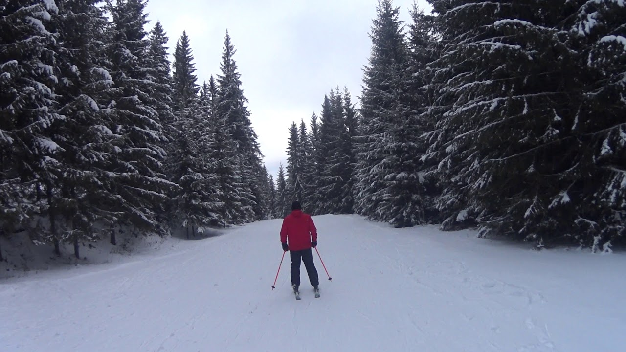 Vatra Dornei ski partia Dealu Negru