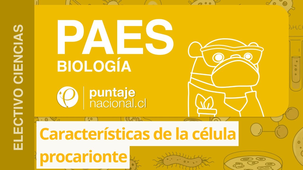 PAES | Biología | Características de la célula procarionte