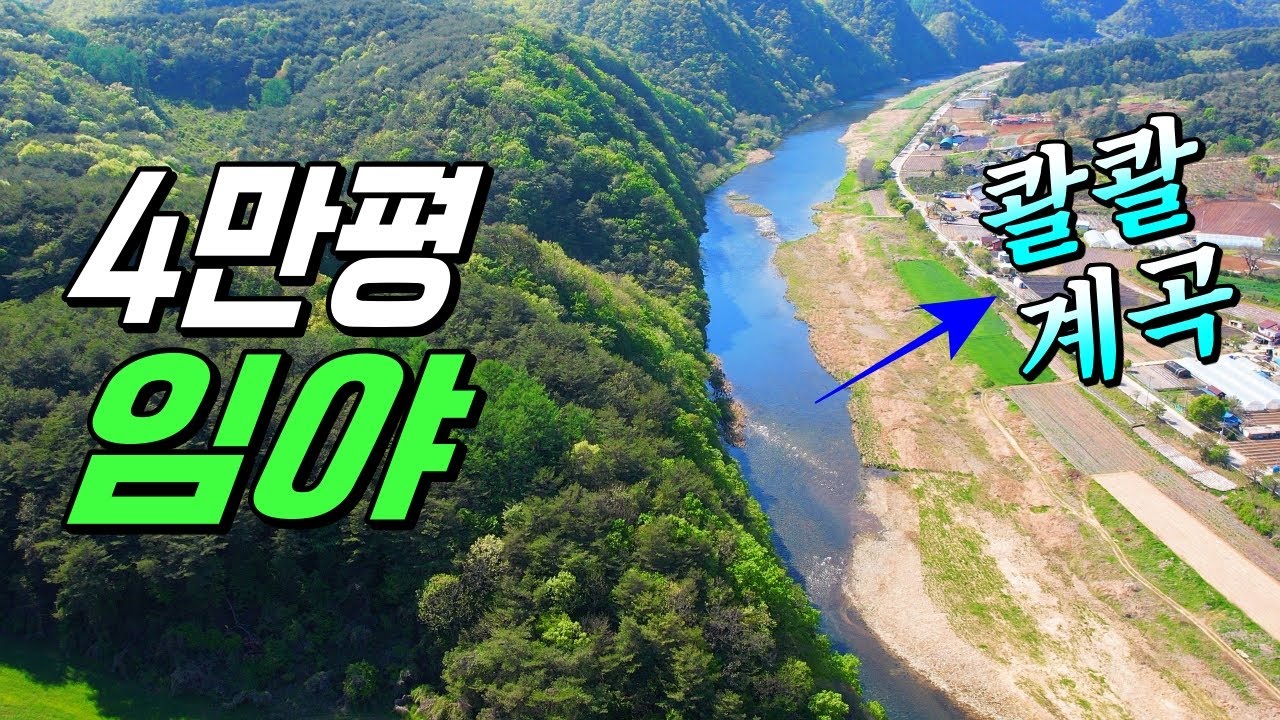4만평! 콸콸! 대형계곡 붙은 큰 임야~ 환상입니다 진짜