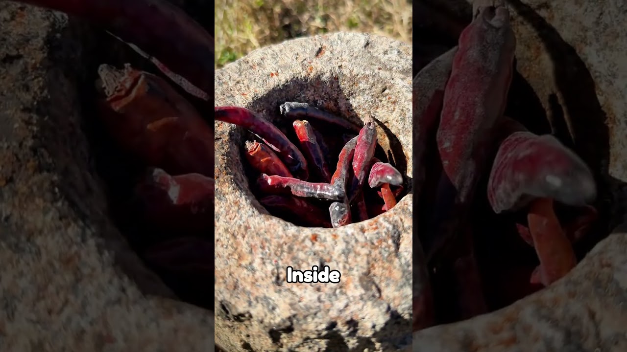 Cooking Taro the Ancient Way