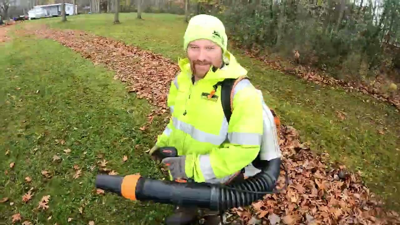 Biggest Leaf Cleanup Yet!!