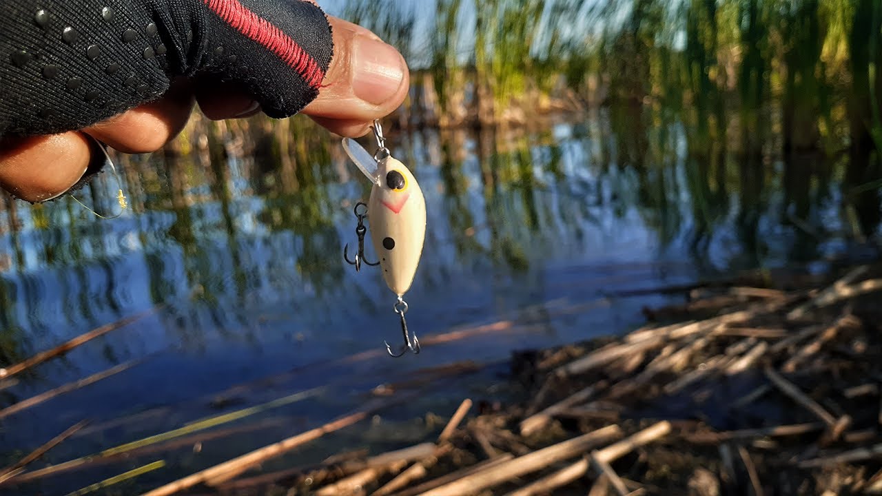 Micro Isca Artesanal PESCA UltraLight