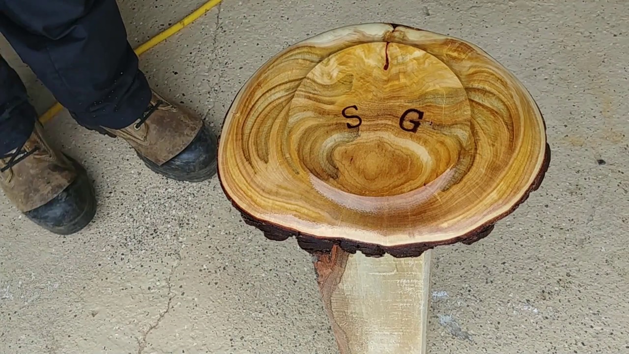 Woodturning : Turtle Shell Burl