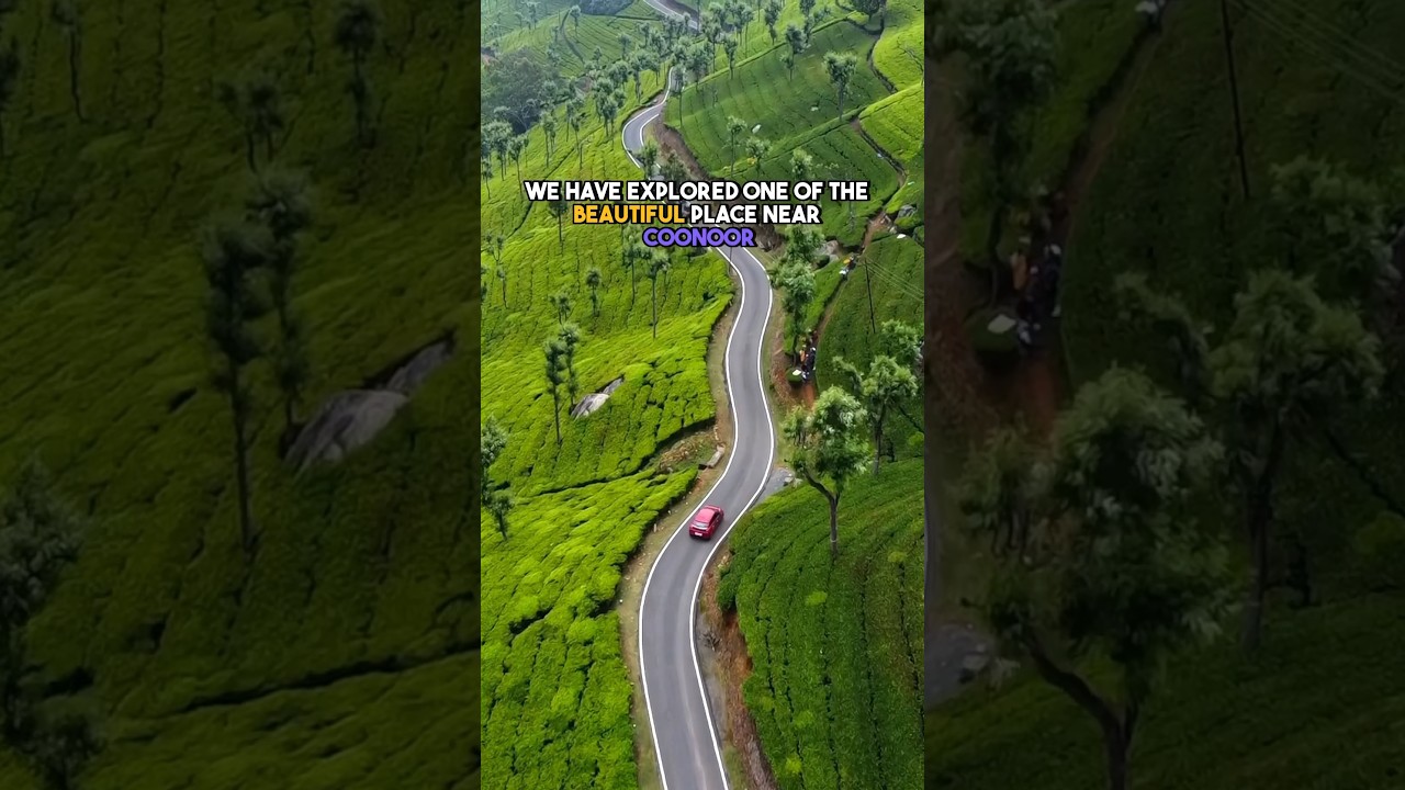 Unexplored places in Coonoor/OOTY #travel #youtubeshorts