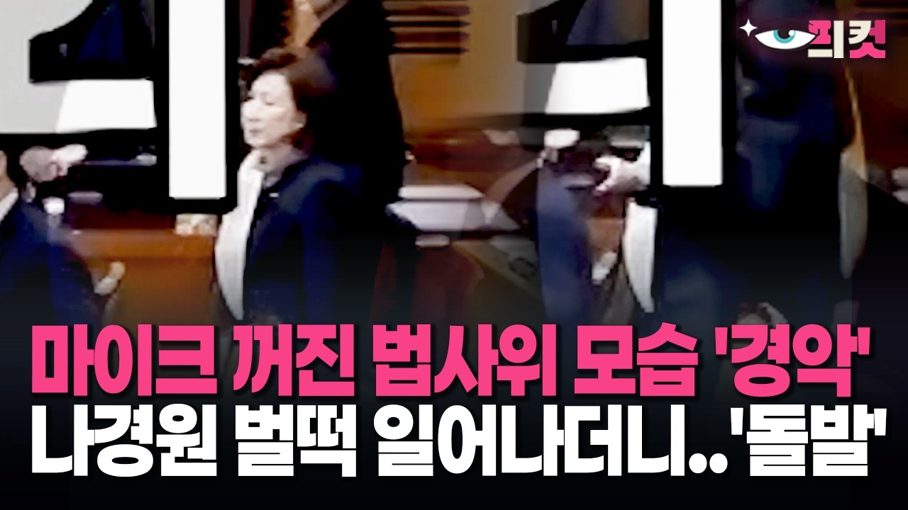 [현장영상] 마이크 꺼진 법사위 모습 '경악' 나경원 벌떡 일어나더니..'돌발'