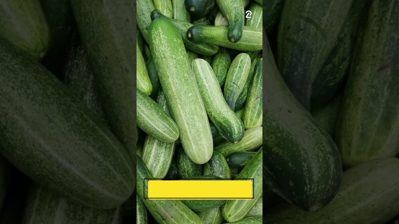 Top 10 Fruits With Highest Water Content ||  Hydrating Foods ||  Increase Daily Water || @pitu0143