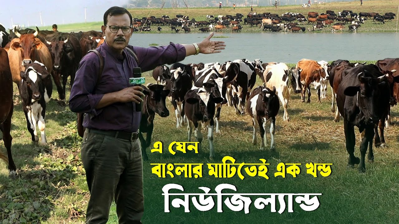 982-এ যেন বাংলার মাটিতে এক খন্ড নিউজিল্যান্ড- র.ই মানিক চিত্রপুরী  R.I.Manik.Chitrapuri Krishichitra