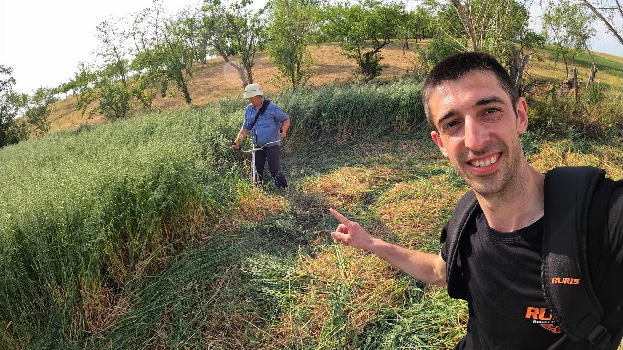 COSIM OVĂZ GIGANTIC + CÂȚI BALOȚI AM FĂCUT