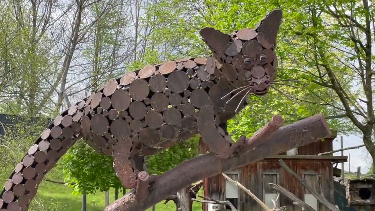 🦁 Austria Herberstein Tierwelt Tierpark Zoo 2023
