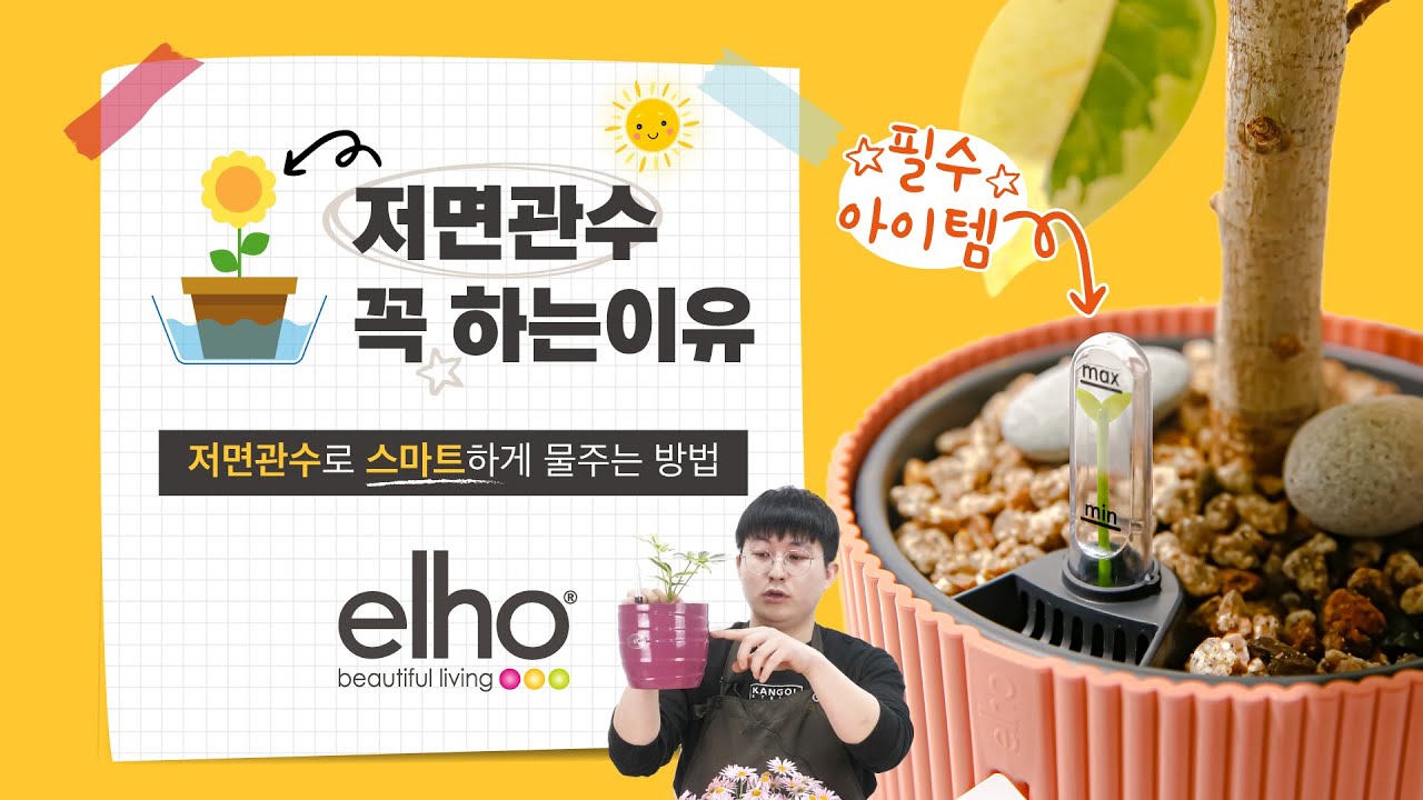 저면관수 꼭 해야하는이유. 저면관수로 쉽게 물주는 방법(Feat. Elho 저면관수화분)