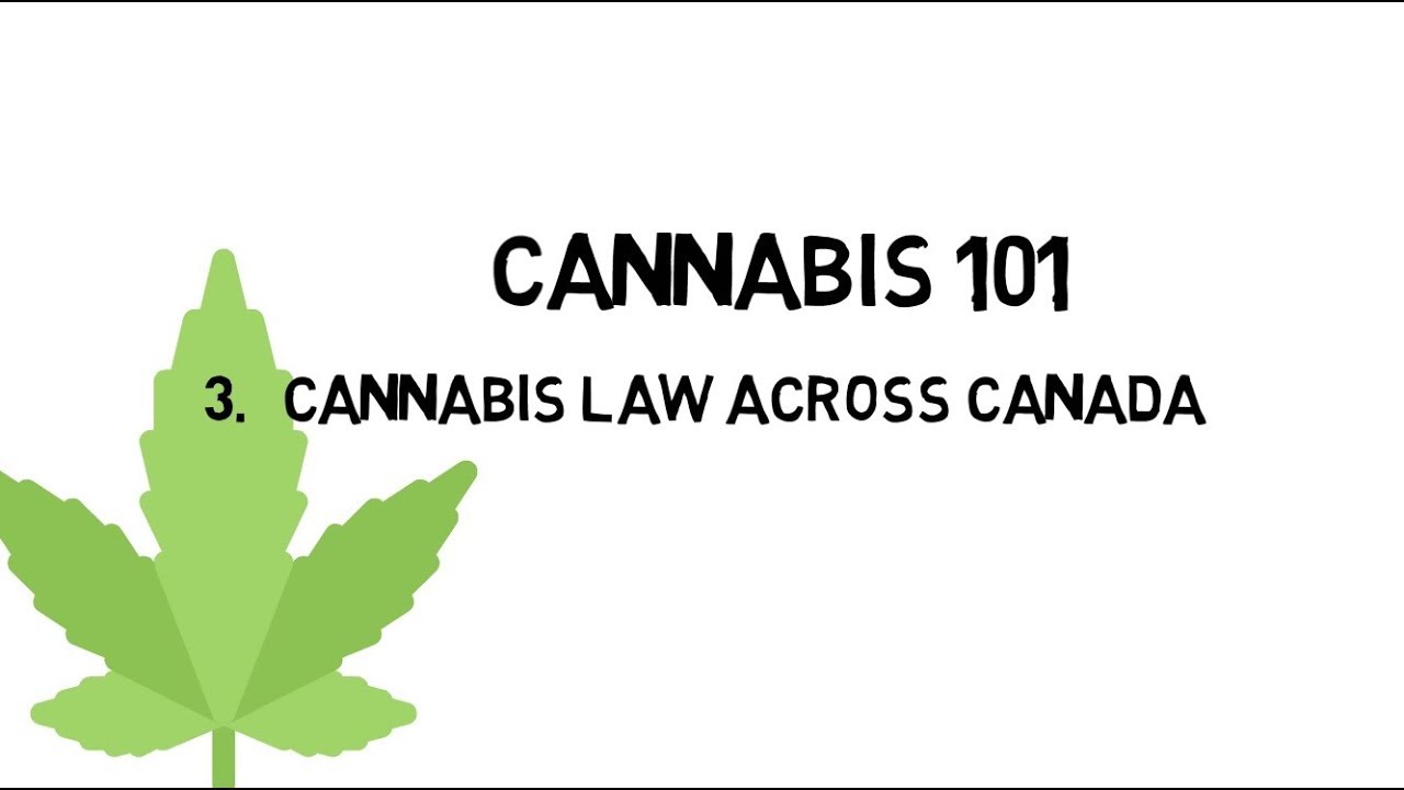 Cannabis Law Canada