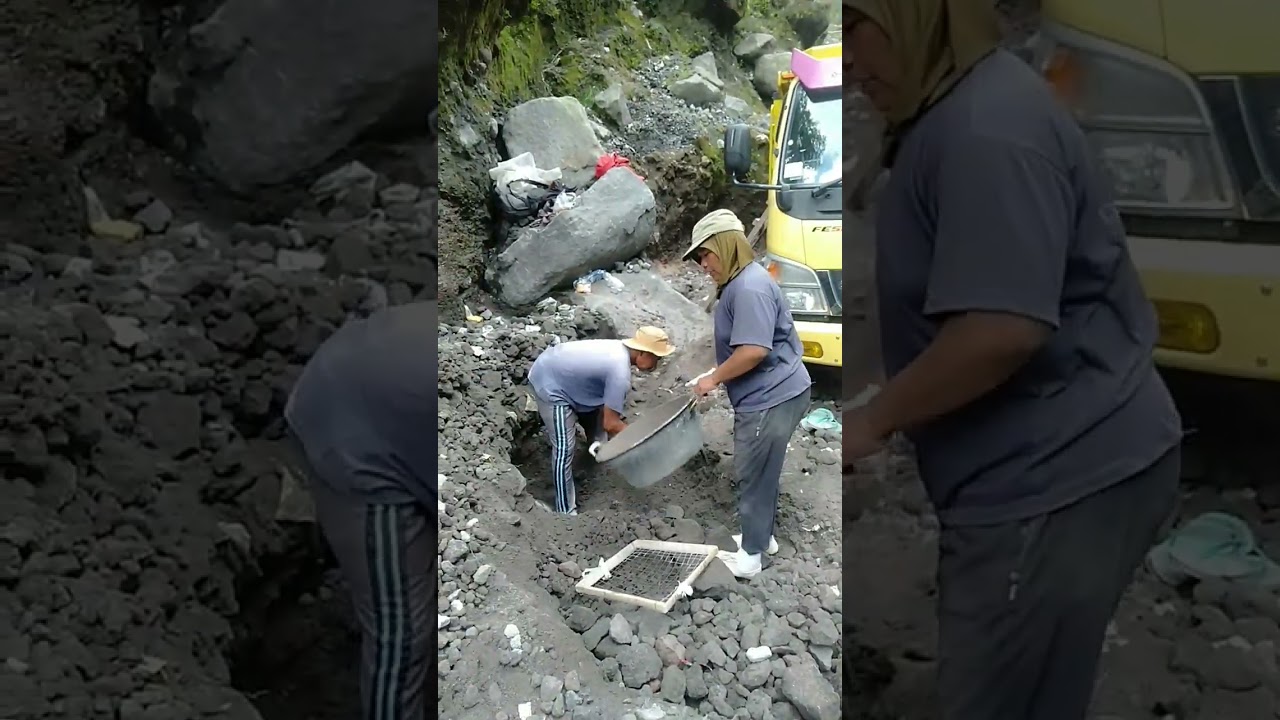 Humans are the breadwinners of the family 🤣