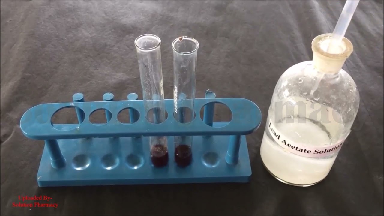 Phytochemical Test for Tannins | Identification Test for Tannins | टेनिन का टेस्ट कैसे करते है
