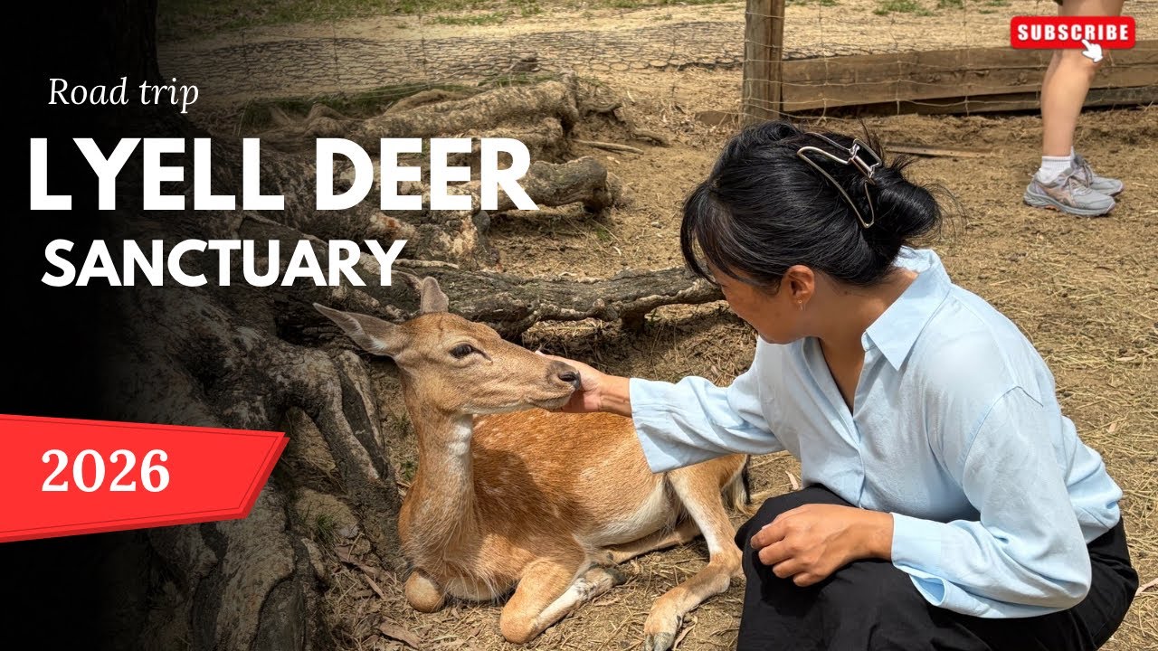 LYELL DEER Sanctuary Trip I Brisbane #2026 #sanctuary #deer #australia #bhutan 