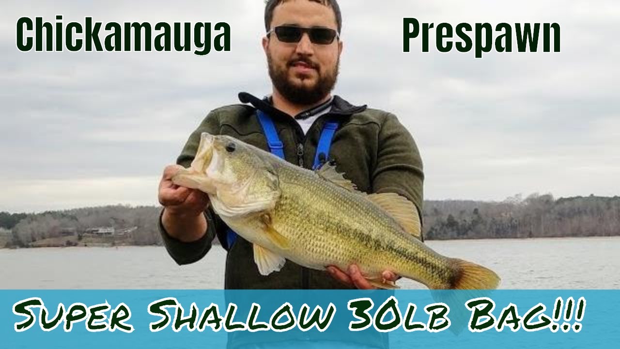 Lake Chickamauga Late Winter 30lb sack!!! Big Bass!!!